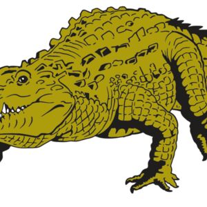 AR GATOR 13 RQC Thumbnail