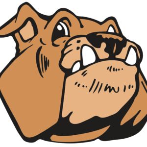 AR2 BDOG 03 RQC Thumbnail