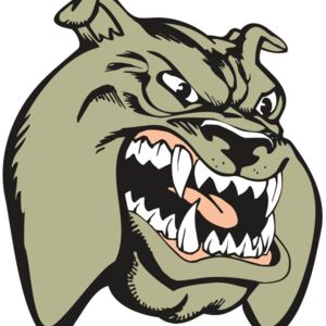 BAW BULLDOG 03 RC Thumbnail