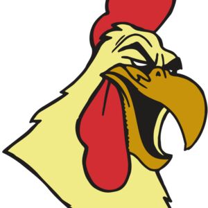 AR5 Gamecock 02 RQC Thumbnail