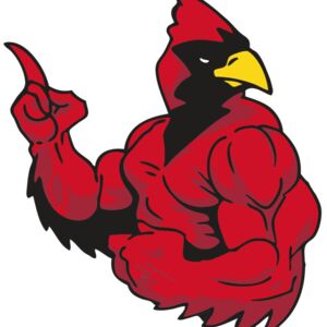 AR CARDINAL 28 RC Thumbnail