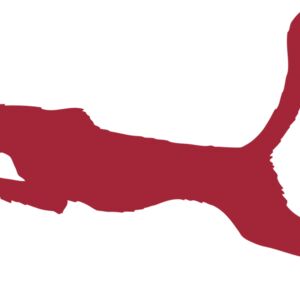 AR CHEETAH 11 RC Thumbnail