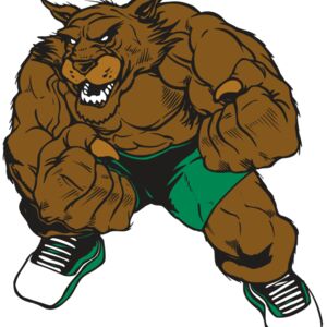 AR WILDCAT 45 RC Thumbnail