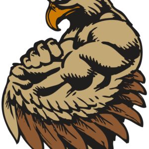 BAW HWK FLCN 02 RC Thumbnail