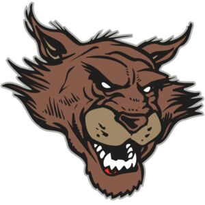 AR WILDCAT 11 RC Thumbnail