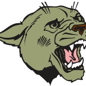 AR COUGAR 40 RC Thumbnail