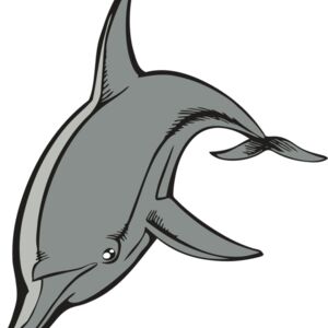 BAW DOLPHIN 03 RC Thumbnail