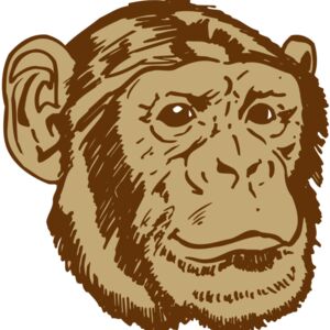 AR OTHER 47 RC Thumbnail