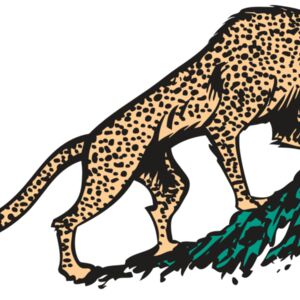 AR CHEETAH 02 RC Thumbnail