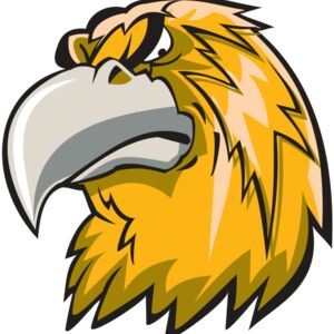 HAWK HD0502 RQC Thumbnail