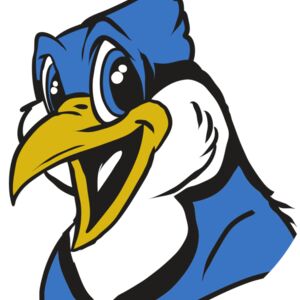 AR31 BLUEJAY 01 RQC Thumbnail