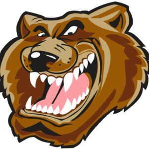 BEAR HD0503 RQC Thumbnail