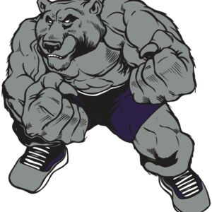 AR BEAR 28 RC Thumbnail