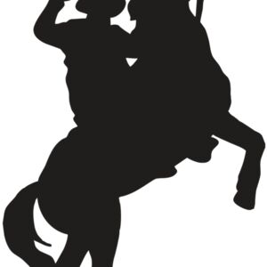 AR COWBOY 26 RC Thumbnail