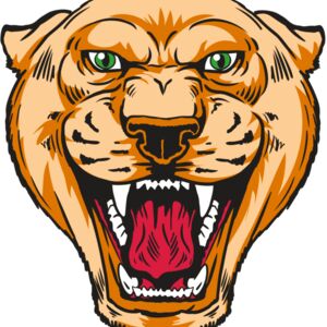 AR13 COUGAR 01 RQC Thumbnail