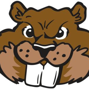 AR BEAVER 10 RC Thumbnail