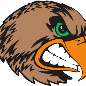 BAW HWK FLCN 09 RC Thumbnail