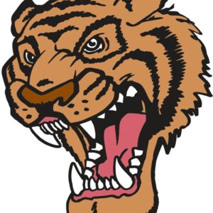 AR TIGER 12 RC Thumbnail