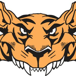 AR5 Tiger 07 RQC Thumbnail