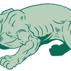 AR10 PANTHER 05 RQC Thumbnail