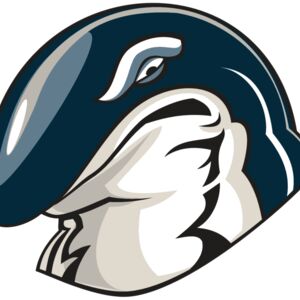 WHALE HD0503 RQC Thumbnail