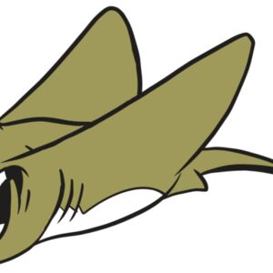 AR19 STINGRAY 07 RQC Thumbnail