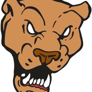 AR2 PANTHER 02 RQC Thumbnail