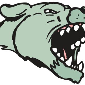 AR5 COUGAR 33 RQC Thumbnail