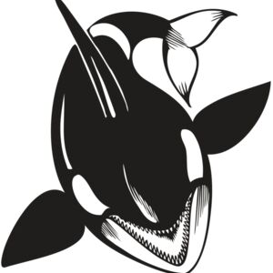 BAW KLRWHALE 01 RC Thumbnail