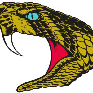 BAW SNAKE 16 RC Thumbnail