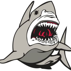 AR5 Shark 07 RQC Thumbnail