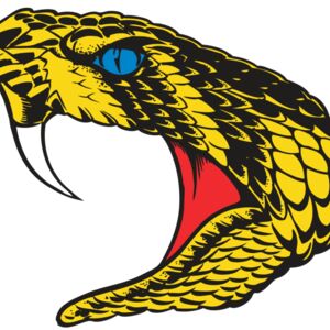 BAW SNAKE 06 RC Thumbnail