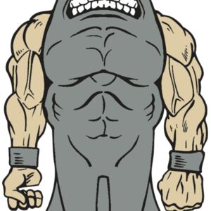 AR ROCKET 23 RC Thumbnail