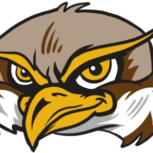 AR12 OWL 02 RQC Thumbnail