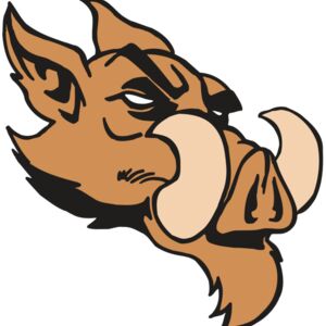 AR5 Razorback 16 RQC Thumbnail