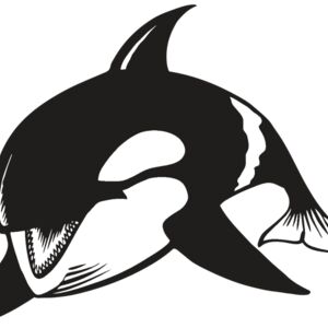 BAW KLRWHALE 04 RC Thumbnail