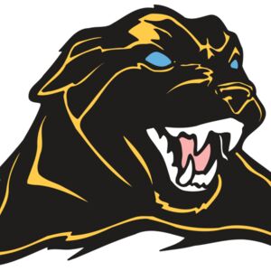 AR COUGAR 42 RC Thumbnail