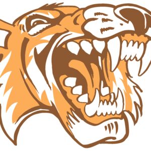 AR3 TIGER 01 RQC Thumbnail