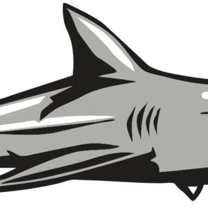 AR9 SHARK 01 RQC Thumbnail