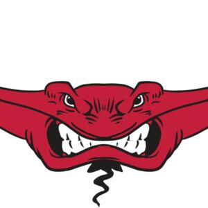 AR19 STINGRAY 03 RQC Thumbnail