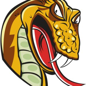 SNAKE HD0502 RQC Thumbnail