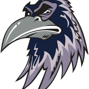 RAVEN HD0501 RQC Thumbnail