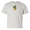 Heavy Cotton Youth T-Shirt. Thumbnail