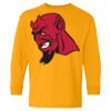 Heavy Cotton Youth Long Sleeve T-Shirt. Thumbnail