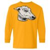Heavy Cotton Youth Long Sleeve T-Shirt. Thumbnail