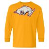 Heavy Cotton Youth Long Sleeve T-Shirt. Thumbnail