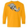 Heavy Cotton Youth Long Sleeve T-Shirt. Thumbnail
