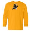 Heavy Cotton Youth Long Sleeve T-Shirt. Thumbnail