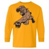 Heavy Cotton Youth Long Sleeve T-Shirt. Thumbnail