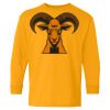 Heavy Cotton Youth Long Sleeve T-Shirt. Thumbnail